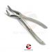 Dental Extraction Forcep | Nr. 51