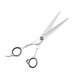 Barber Hair Scissors And Shears