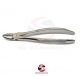 Dental Extraction Forcep | Nr. 7