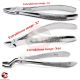 „Zahnextraktion Zange – Dental Instrument für obere & untere Prämolaren Reinigung“