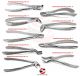 Dental Extraction Forceps | Dental Surgical Teeth Extracting Forceps