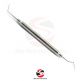 Dental Endodontic Probe DG 16 Explorer