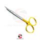 Iris Scissor TC 11.5 CM | Curved